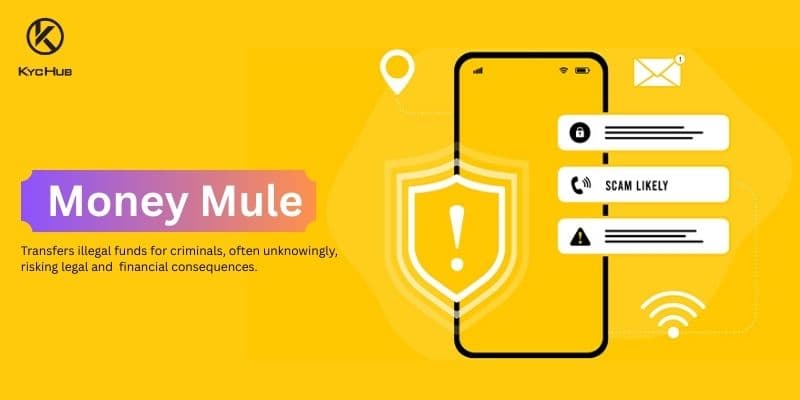 What Is a Money Mule?