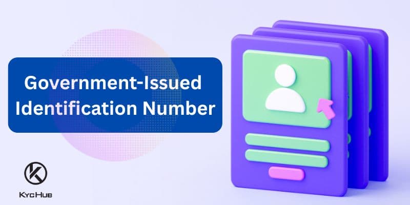 What is a Government-Issued Identification Number in the USA?
