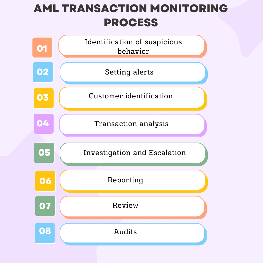 AML Transaction Monitoring Process